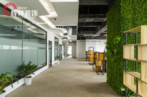 辦公室裝修綠植的風水秘籍