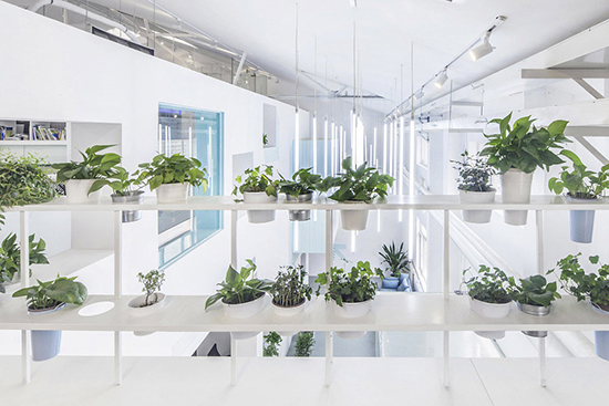 無錫辦公室裝修,如何提高綠化率